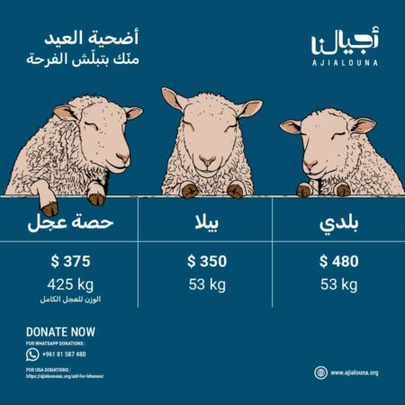 اضحية